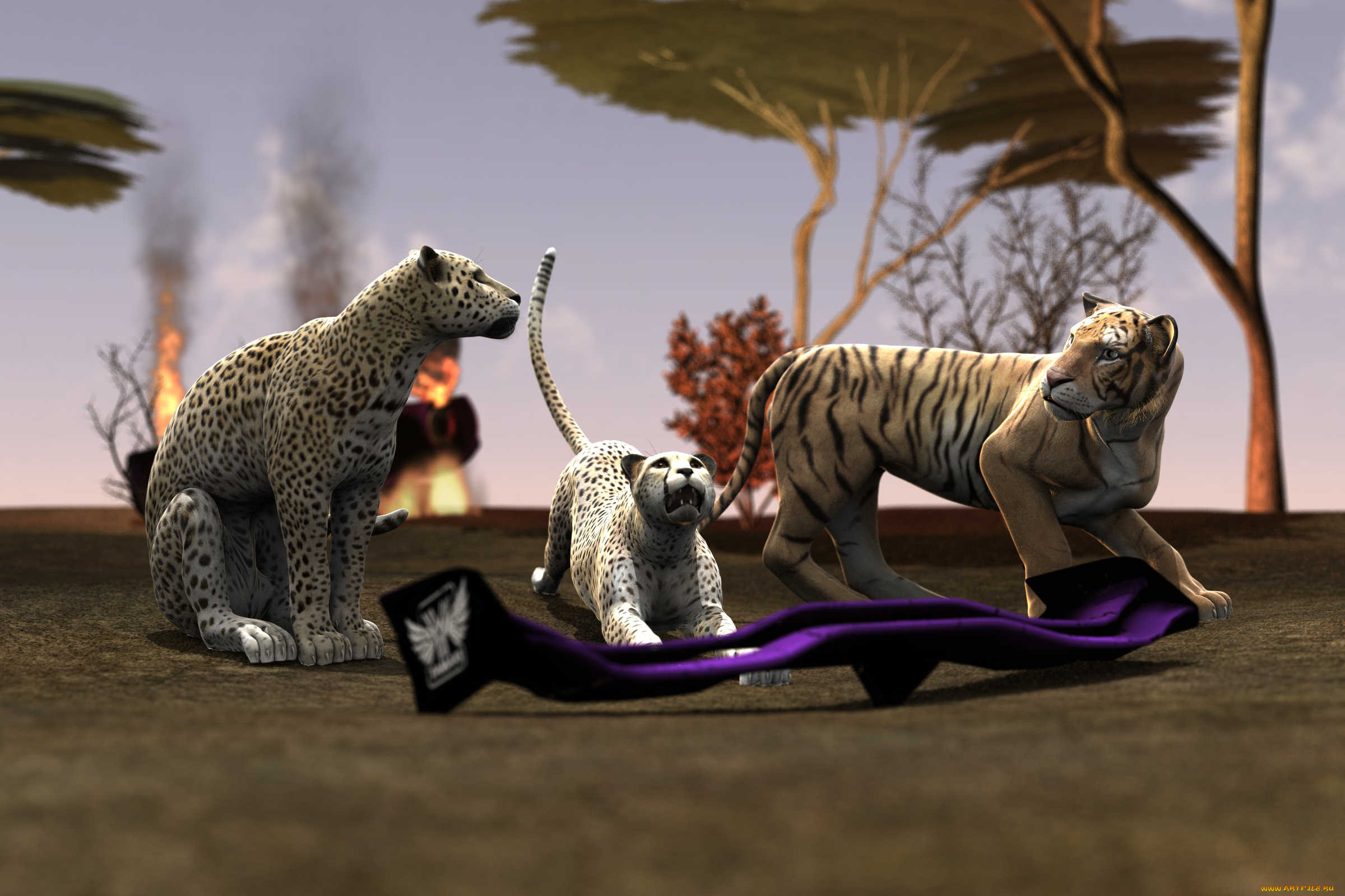 3 , animals , , , 